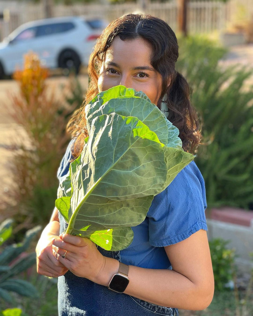 7 Easy Ways To Reduce Food Waste While Cooking – Todo Verde Shop
