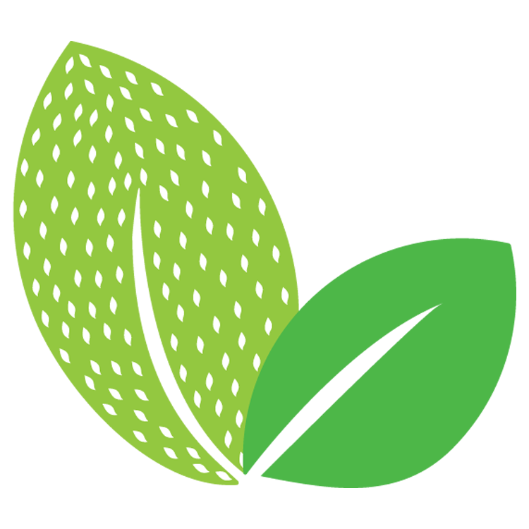 logo of Mexican Seasonings | Todo Verde – Todo Verde Shop